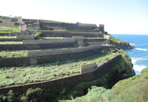 Costa de Puerto de la Cruz (1145 visits) Costa de Puerto de la Cruz Costa de Puerto de la Cruz