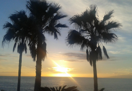 Atardecer en Costa Adeje (1863 visits) Atardecer en Costa Adeje Atardecer en Costa Adeje