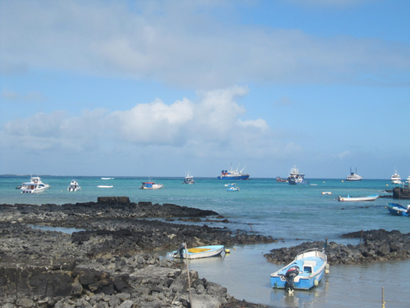 vista del mar desde el mercado de peces en Puerto Ayora