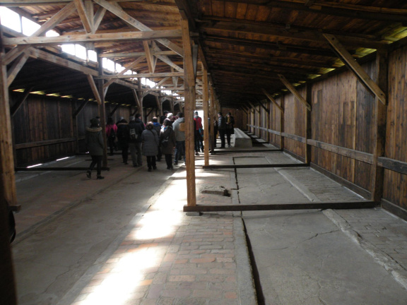 Banos compartidos en Auschwitz II - Birkenau