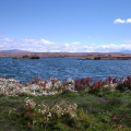 patagonia_argentina_452.jpg
