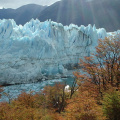 patagonia_argentina_517.jpg