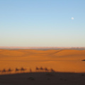 sahara_desert_2015-021.jpg