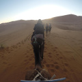 sahara_desert_2015-022.jpg