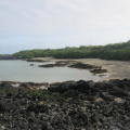 islas_galapagos-567.jpg