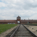 Vista desde adentro de Auschwitz II - Birkenau