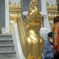 golden_buddha-026.jpg