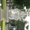 wat rong khun-white temple-033.jpg-052