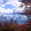 patagonia_argentina_514.jpg