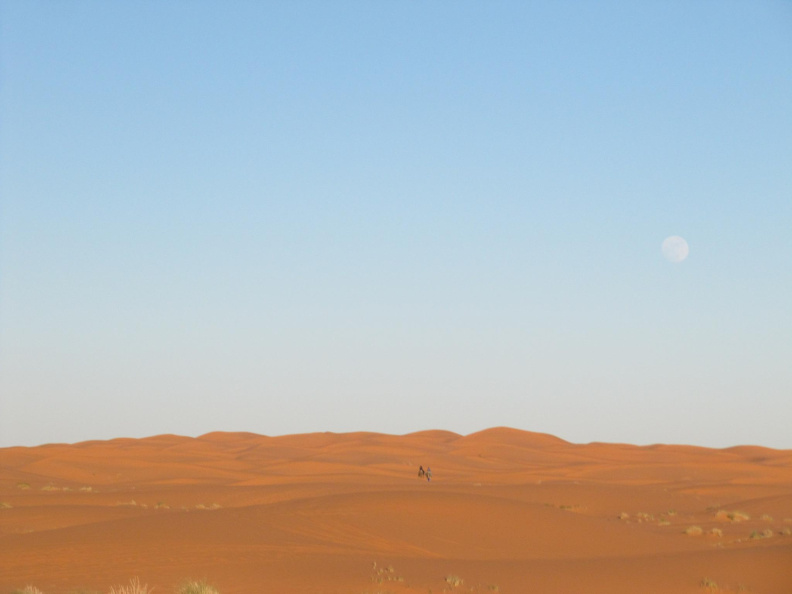 sahara_desert_2015-014.jpg