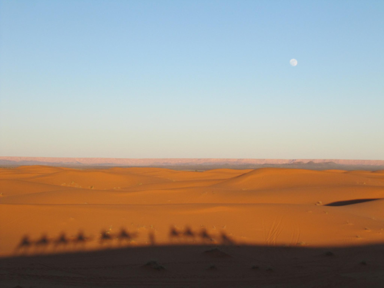 sahara_desert_2015-021.jpg
