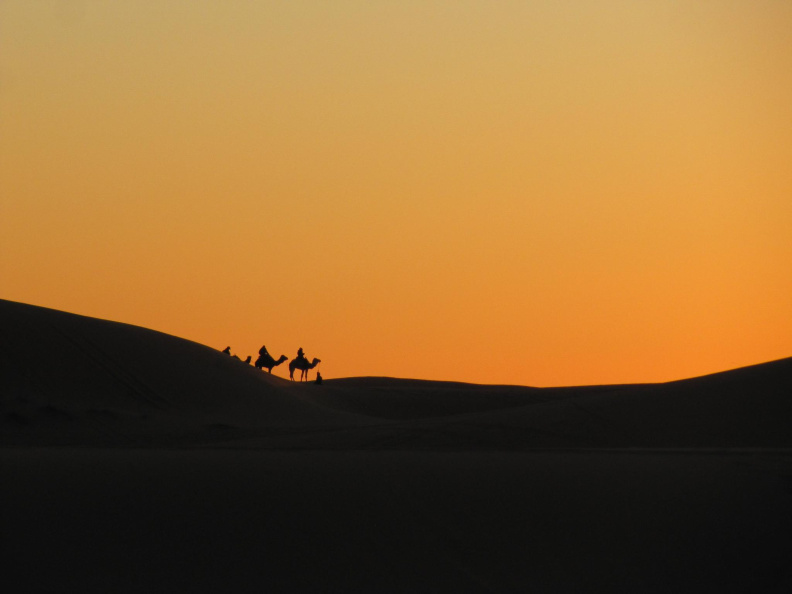 sahara_desert_2015-027.jpg